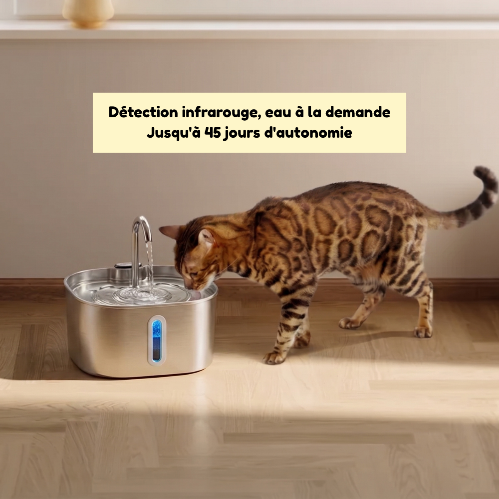 Fontaine à eau sans fil pour chat — 2,2L inox