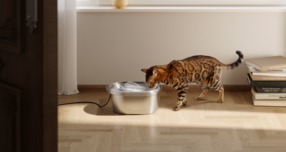 Fontaine à eau pour chat - 2,2L en inox